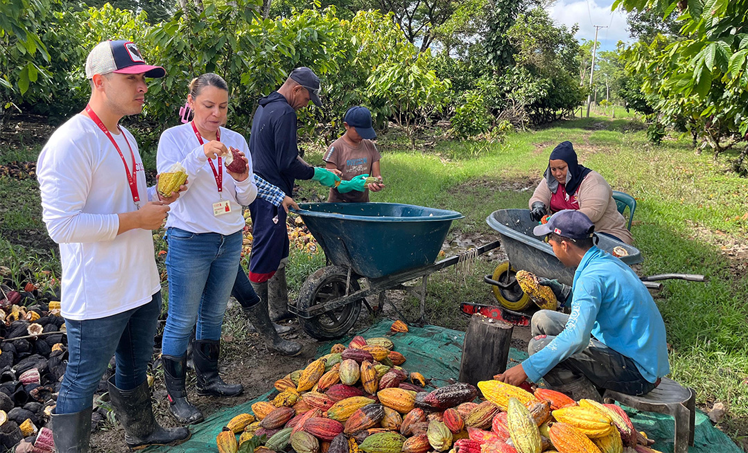 Sala de prensa Agrocadenas